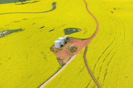 Aerial Image of CANOLA CROPS, NSW