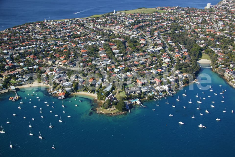 Aerial Image of Vaucluse and Watsons Bay