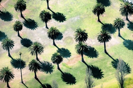 Aerial Image of PALM SHADOWS