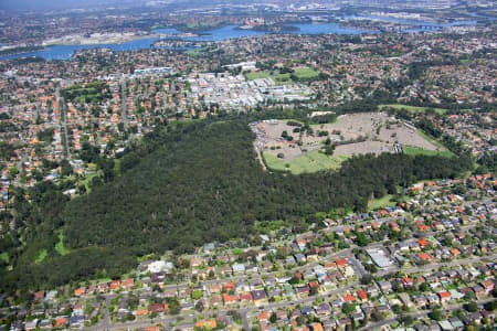 Aerial Image of FIELD OF MARS, SYDNEY