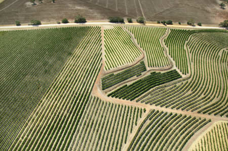 Aerial Image of VINEYARDS, BAROSSA SA