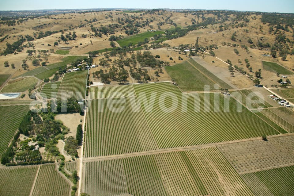 Aerial Image of Vineyards, Barossa Valley South Australia