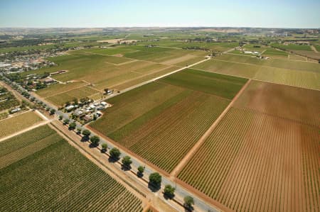 Aerial Image of VINEYARDS IN THE BAROSSA