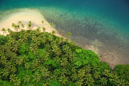 Aerial Image of FOREST MEETS THE SEA, FIJI