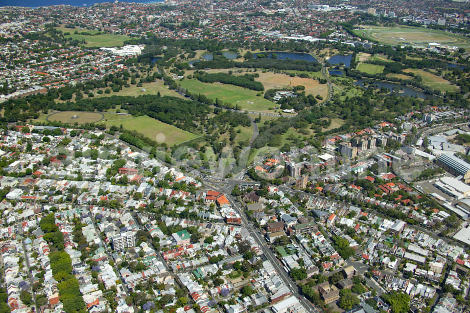 Aerial Image of Woollahra and Centennial Park