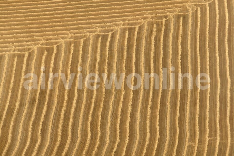 Aerial Image of Furrows