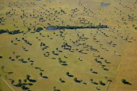 Aerial Image of TREES DOTTED ON PADDOCK