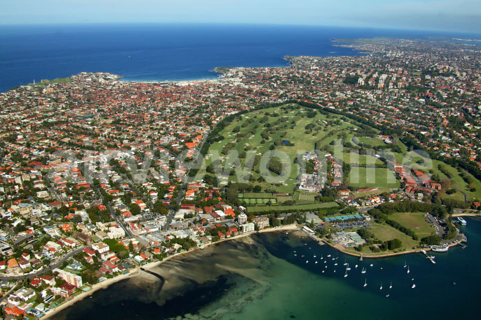Aerial Image of Rose Bay