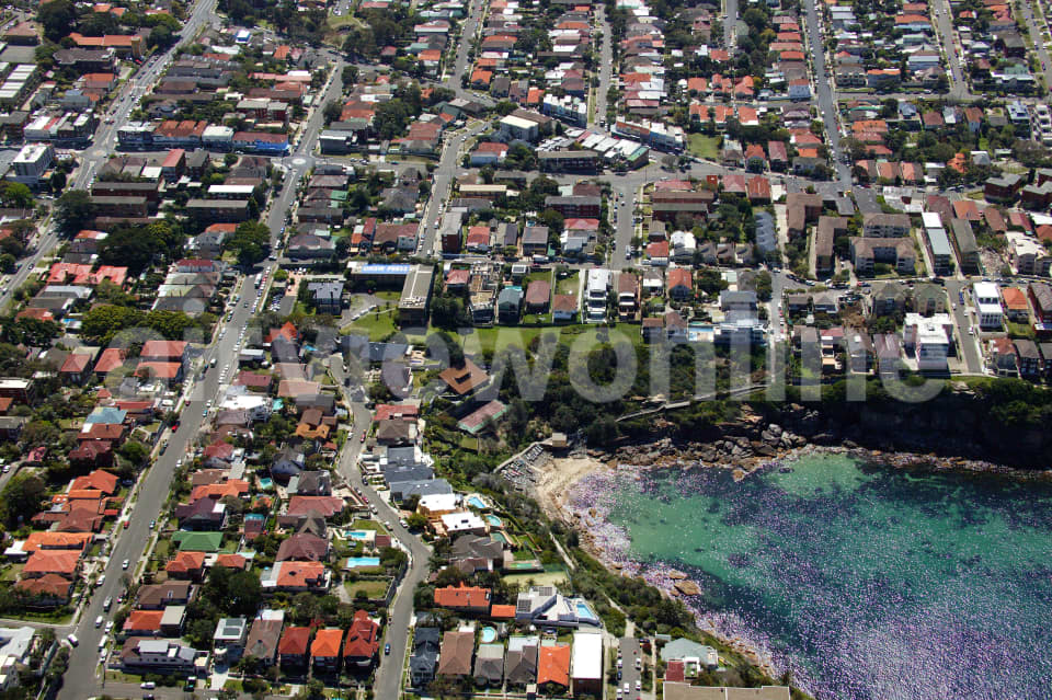 Aerial Image of Clovelly and Coogee