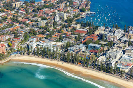 Aerial Image of MANLY