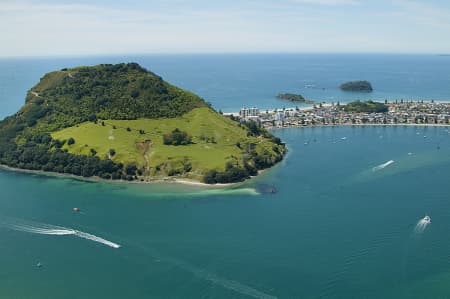 Aerial Image of CLOSEUP SHOT OF MOUNT MAUAO RESERVE, MOUNT MAUNGAUI.