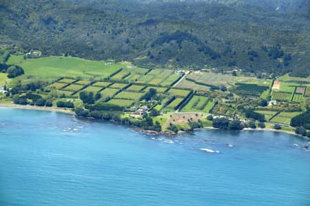Aerial Image of FARMLANDS, TE KAHA.