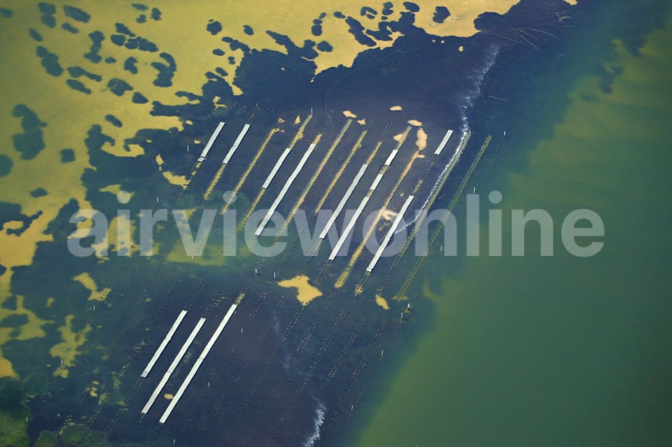 Aerial Image of Oyster Farms