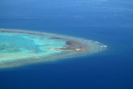 Aerial Image of ONE TREE ISLAND.