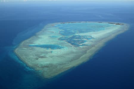 Aerial Image of ONE TREE ISLAND AND REEF.