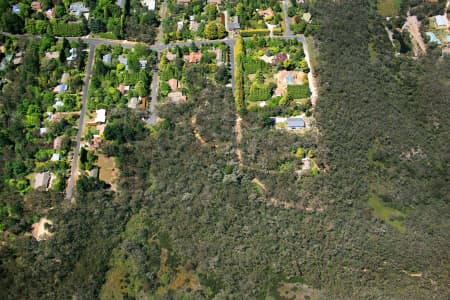 Aerial Image of STREETS IN SOUTH LEURA.
