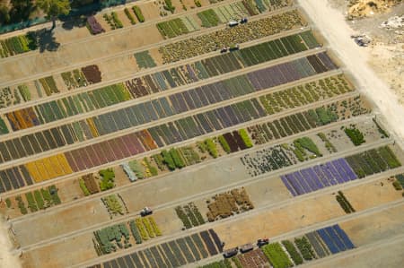 Aerial Image of FLOWER FARM IN PERTH WA.