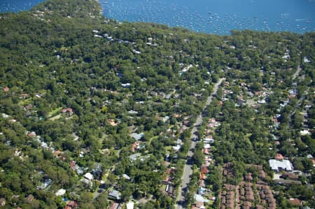 Aerial Image of AVALON.