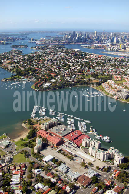 Aerial Image of Birkenhead Point to City