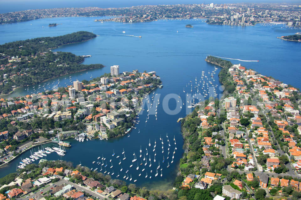 Aerial Image of Cremorne Point and Mosmans Bay