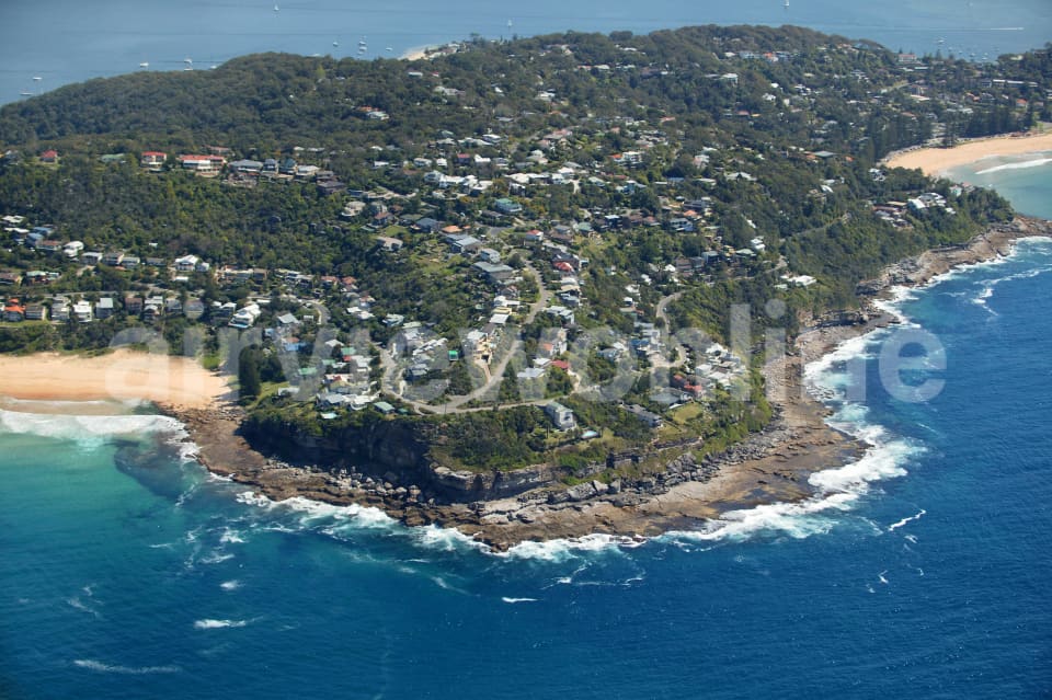 Aerial Image of Little Head in Whale Beach