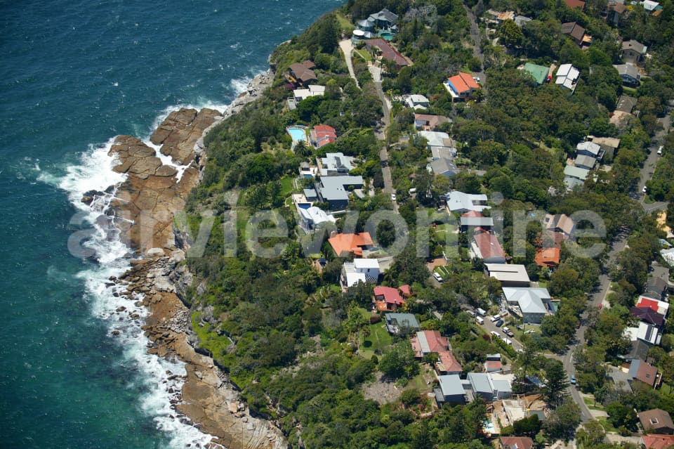 Aerial Image of Careel Head in Whale Beach