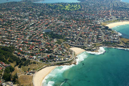Aerial Image of BRONTE TO ROSE BAY.