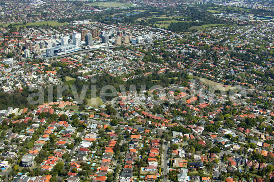 Aerial Image of Bellevue Hill to Bondi Junction