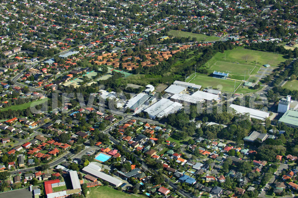 Aerial Image of Cromer Park Soccer Ground