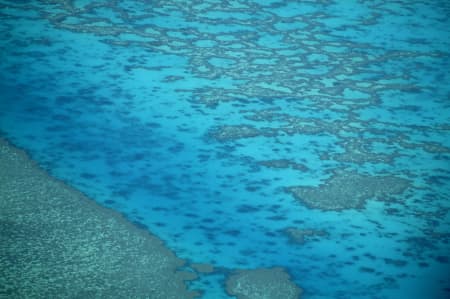 Aerial Image of CORAL REEF