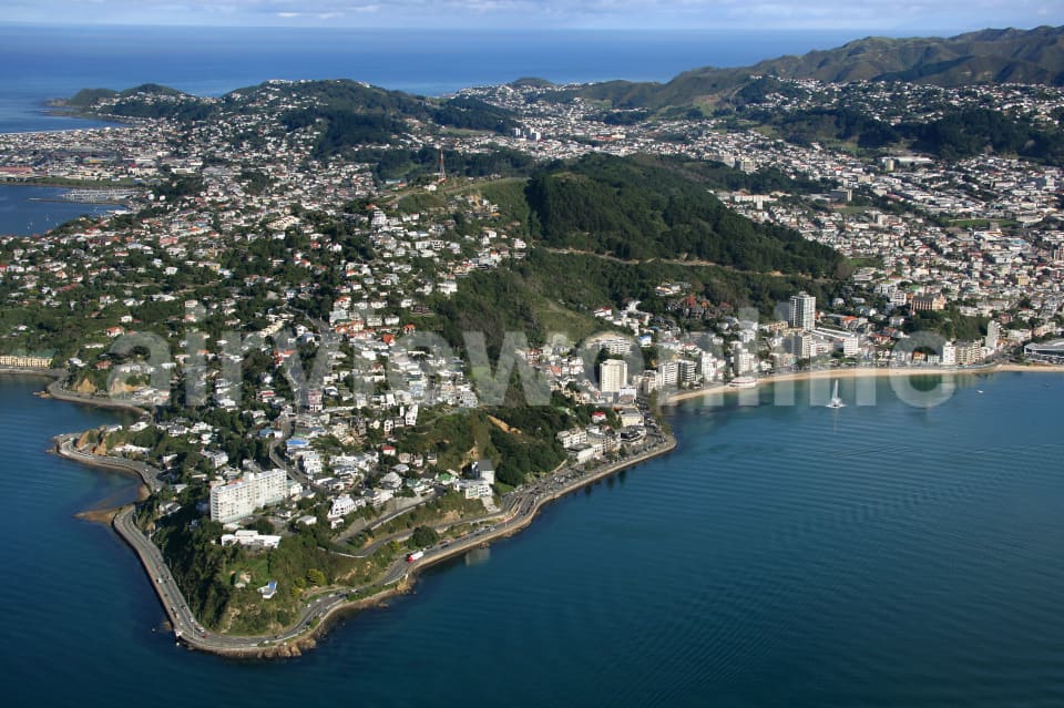 Aerial Image of Roseneath and Mount Victoria, Wellington