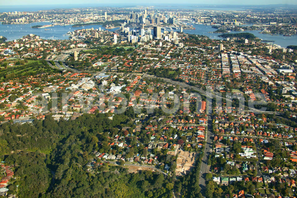 Aerial Image of Cammeray and Naremburn to the City