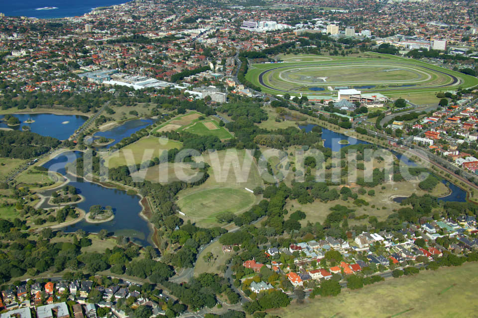 Aerial Image of Centennial Park and Randwick