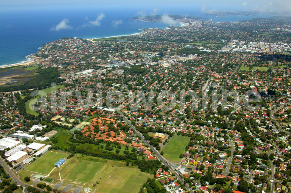 Aerial Image of Cromer to Manly
