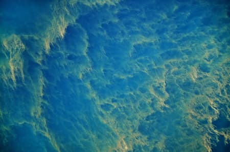 Aerial Image of ALGAE