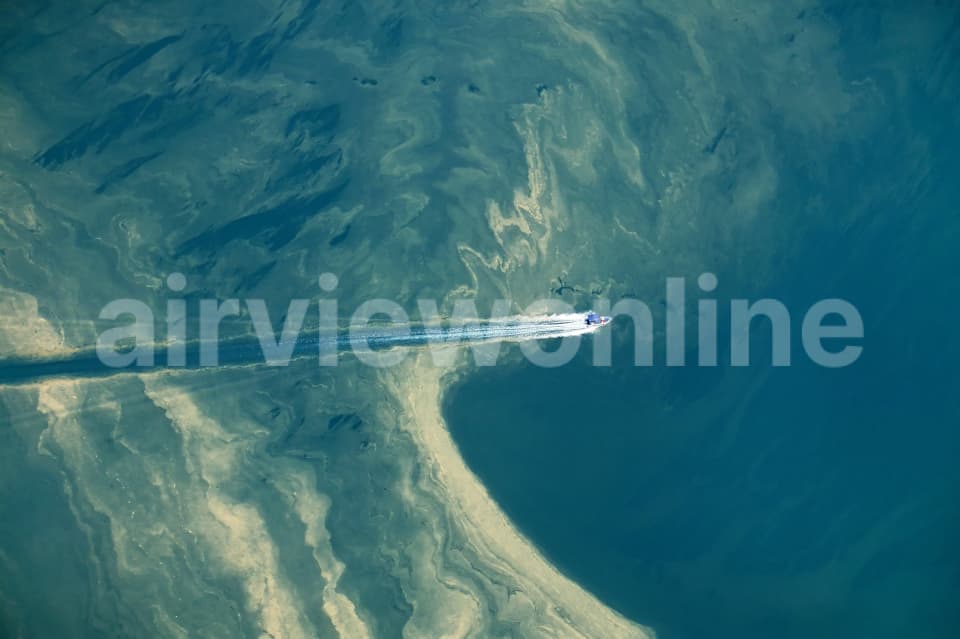 Aerial Image of Cruising