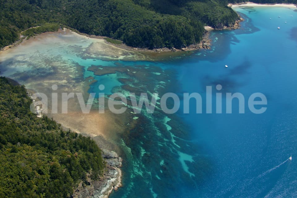 Aerial Image of Coral Reef, Whitsunday Island, Queensland