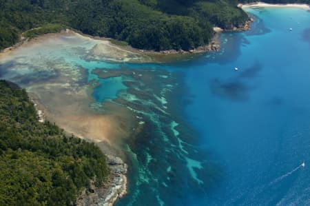 Aerial Image of CORAL REEF, WHITSUNDAY ISLAND, QUEENSLAND
