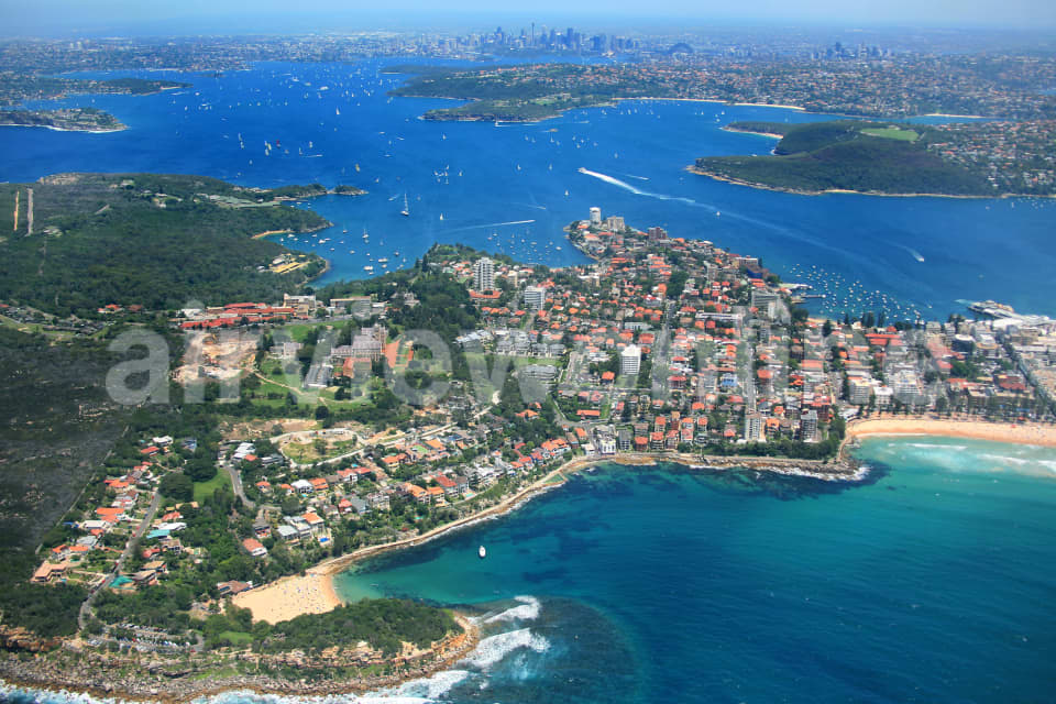 Aerial Image of Shelly Beach Manly to Sydney Harbour
