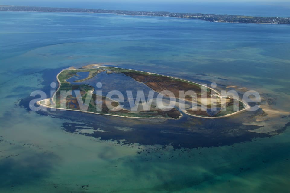 Aerial Image of Port Phillip Bay Mud Islands