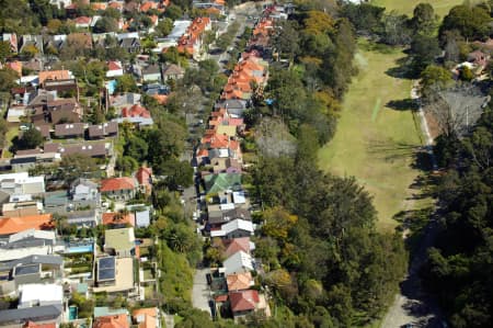 Aerial Image of WOOLLAHRA AND COOPER PARK