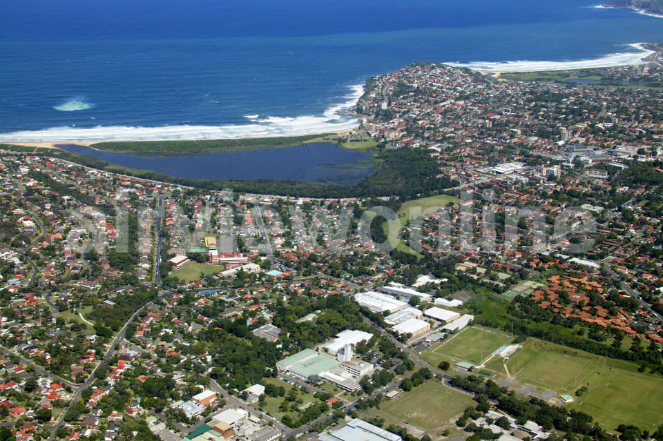 Aerial Image of Cromer to Dee Why