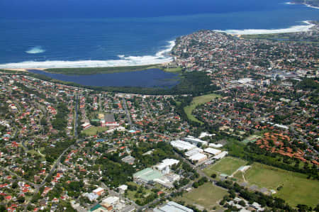 Aerial Image of CROMER TO DEE WHY