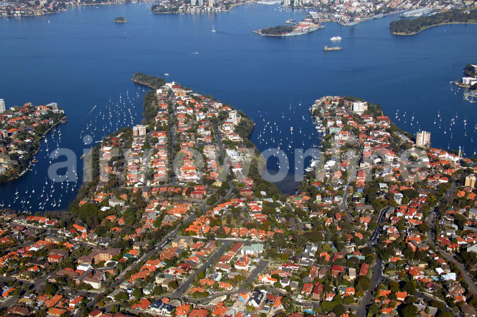Aerial Image of Cremorne Point and Netural Bay