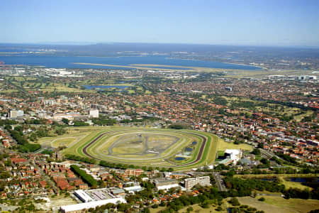 Aerial Image of RANDWICK