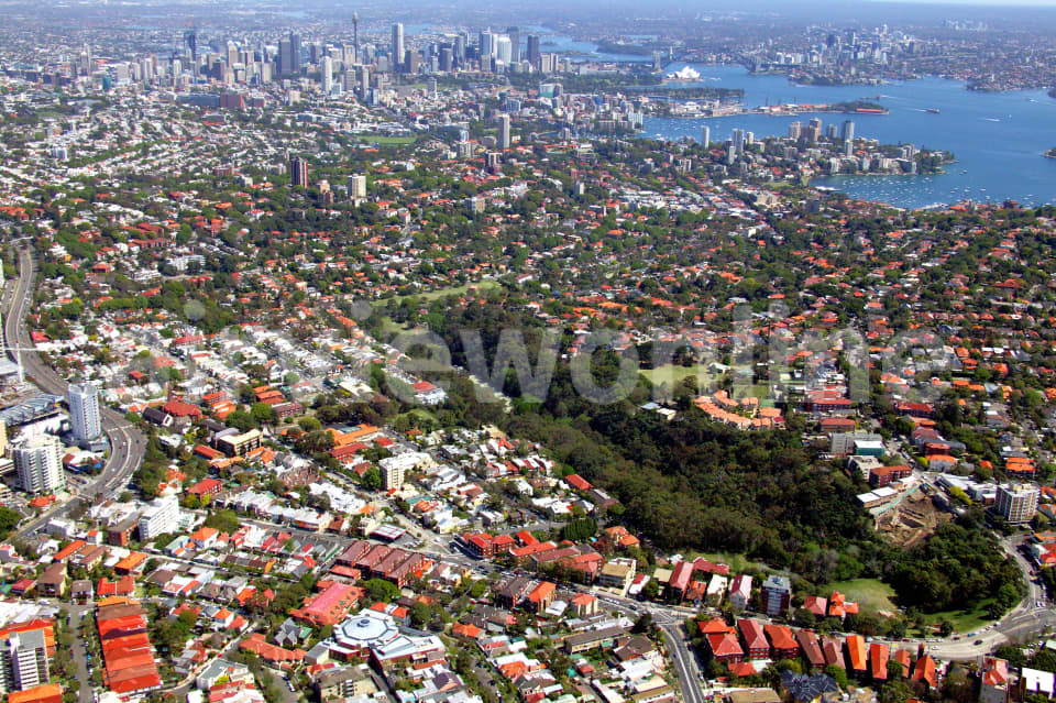 Aerial Image of Woollahra to City