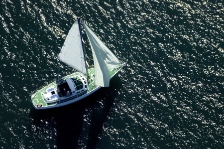 Aerial Image of SAILING ON SYDNEY HARBOUR