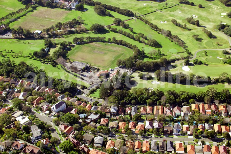 Aerial Image of Woollahra Oval