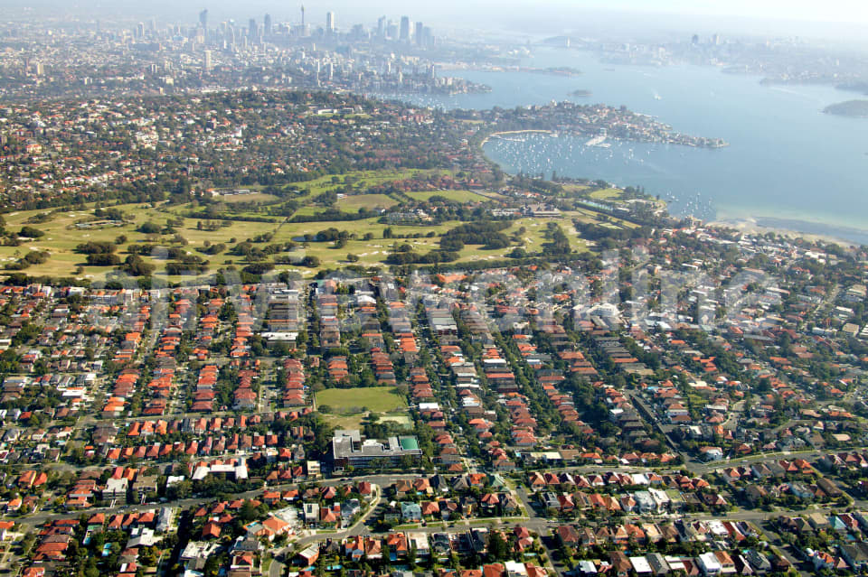 Aerial Image of Dover Heights to City