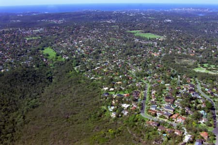 Aerial Image of FRENCHS FOREST